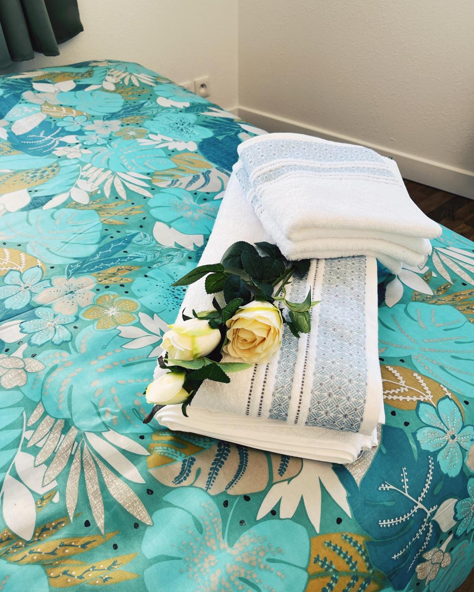 Appartement Chez Rose 나르본 외부 사진
